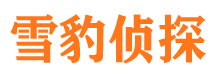 黑水市侦探调查公司